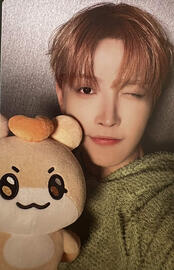 Mighteez photocard pack